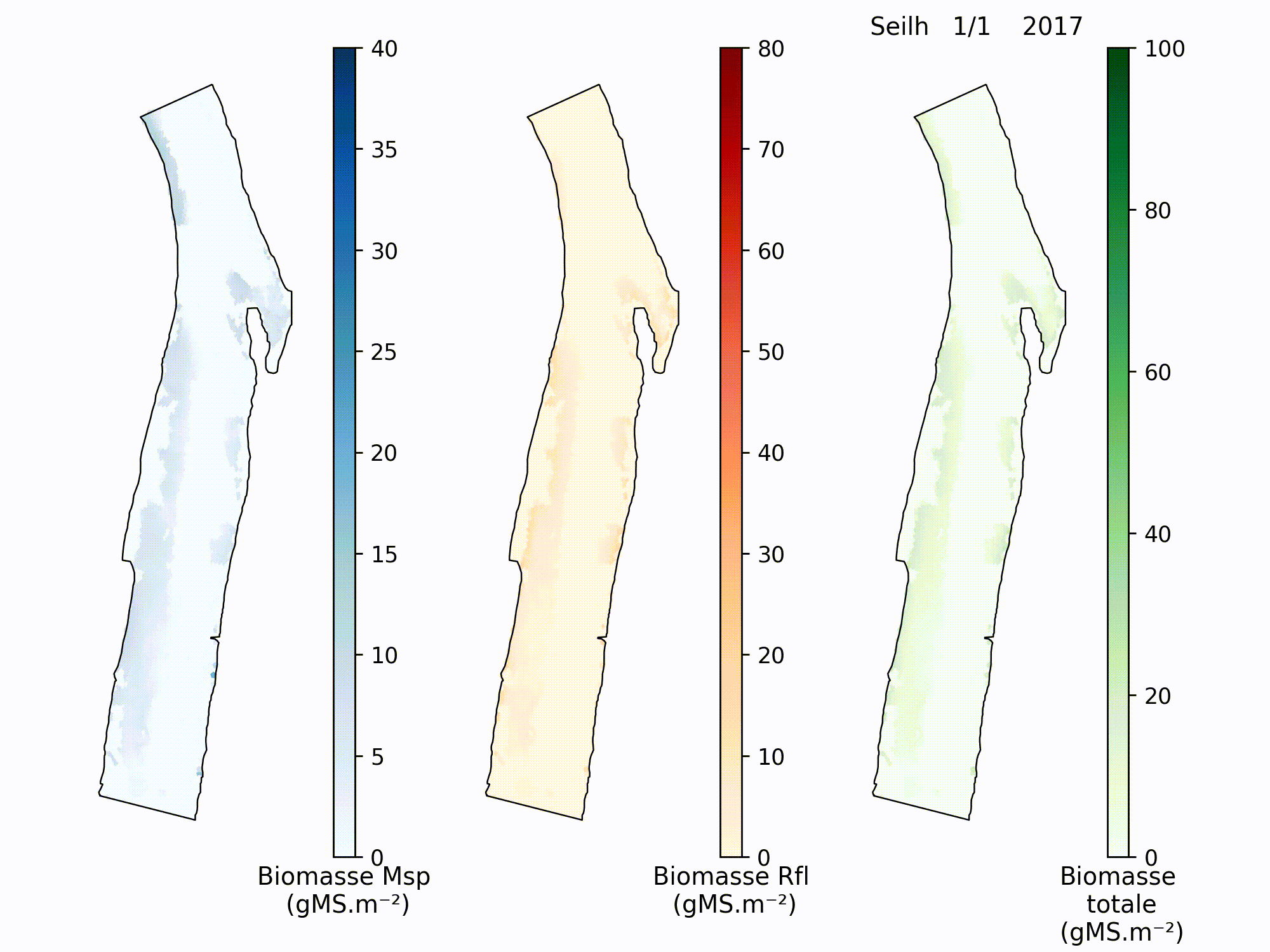 animation dynamique macrophytes